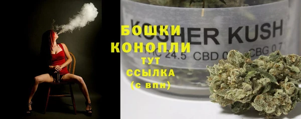 ПСИЛОЦИБИНОВЫЕ ГРИБЫ Магас