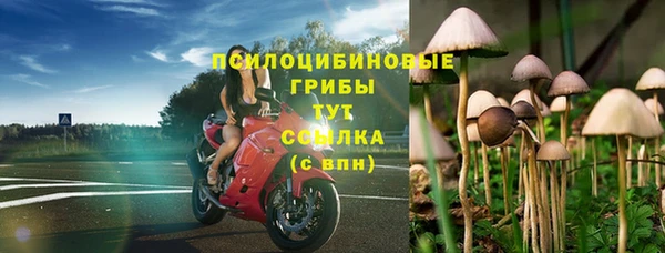 ПСИЛОЦИБИНОВЫЕ ГРИБЫ Магас