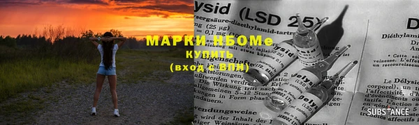 ПСИЛОЦИБИНОВЫЕ ГРИБЫ Магас