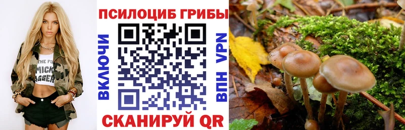 Галлюциногенные грибы мухоморы  Стародуб 